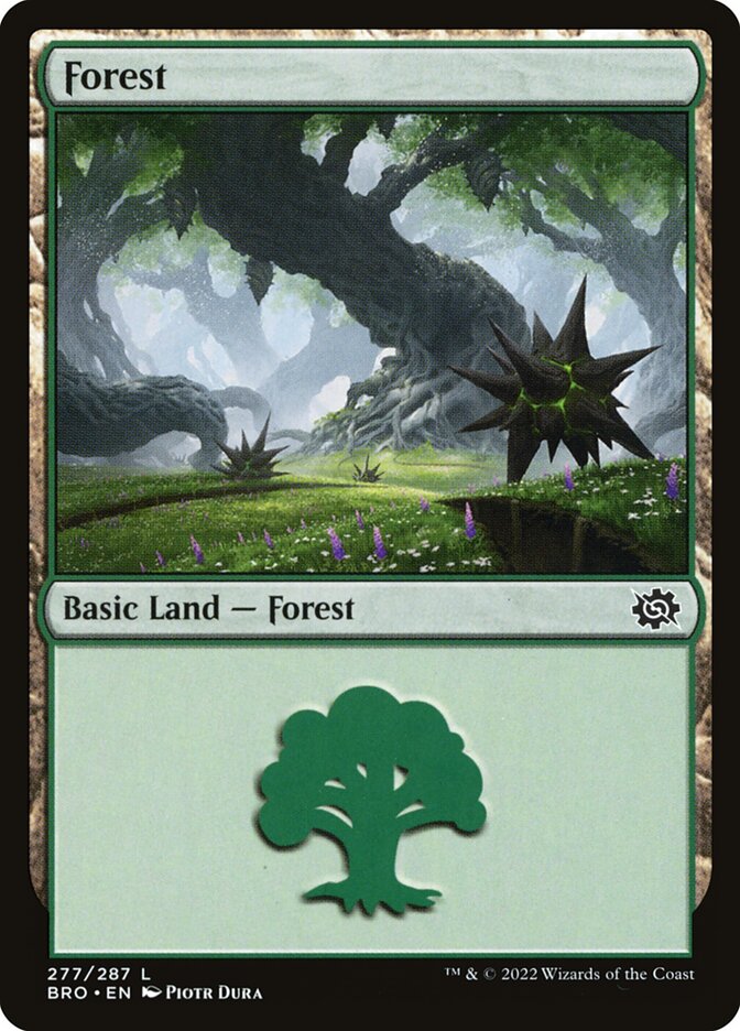 Magic the Gathering Card - Forest - MTG Circle