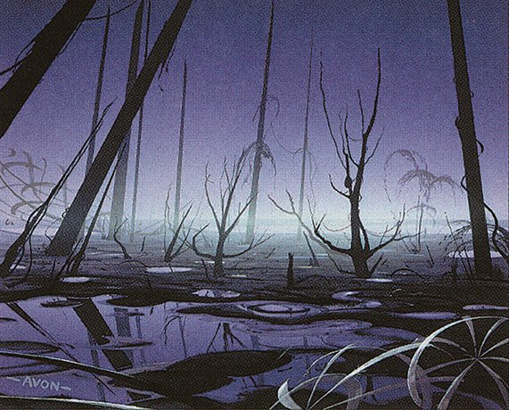 Swamp