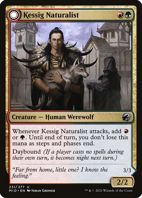 Magic the Gathering Card - Kessig Naturalist // Lord of the Ulvenwald - MTG Circle