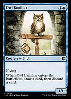 Magic the Gathering Card - Owl Familiar - MTG Circle