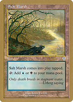 Magic the Gathering Card - Salt Marsh - MTG Circle