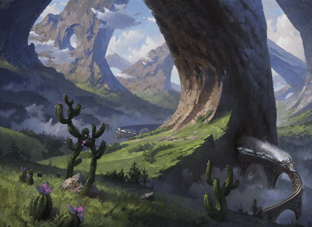 Forest