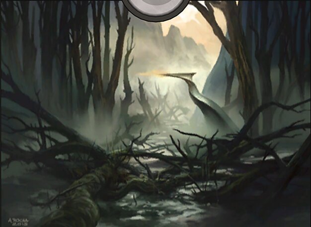 Swamp