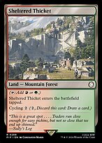 Magic the Gathering Card - Sheltered Thicket - MTG Circle