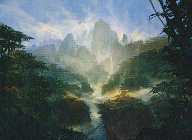 Forest
