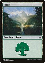 Magic the Gathering Card - Forest - MTG Circle