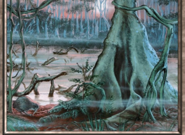 Swamp