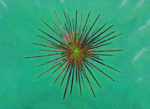 Wayfarer's Bauble