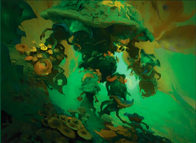 Propagator Primordium