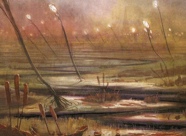 Marsh Flats