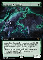 Magic the Gathering Card - Ascendant Packleader - MTG Circle