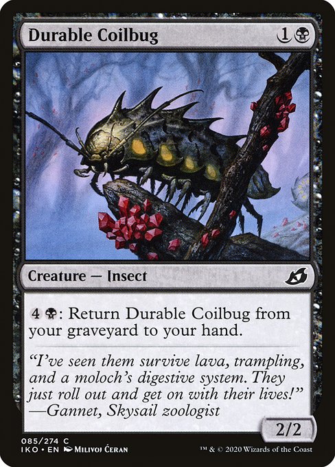Magic the Gathering Card - Durable Coilbug - MTG Circle