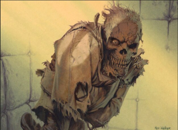 Sanitarium Skeleton