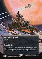 Magic the Gathering Card - Petrified Field - MTG Circle