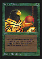Magic the Gathering Card - Natural Selection - MTG Circle
