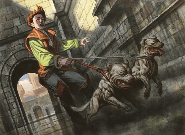 Dog Walker