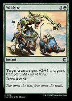 Magic the Gathering Card - Wildsize - MTG Circle