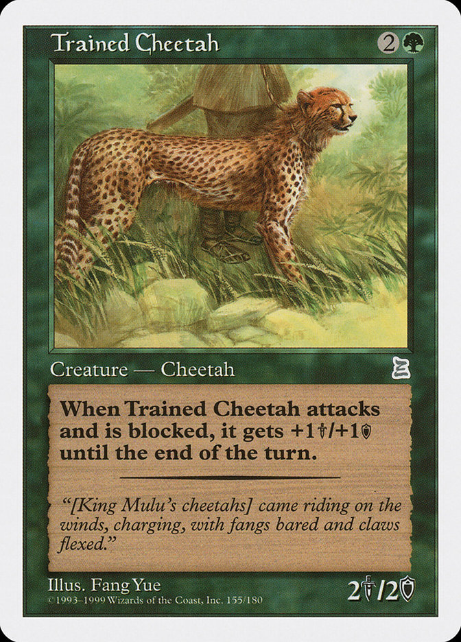 Magic the Gathering Card - Trained Cheetah - MTG Circle