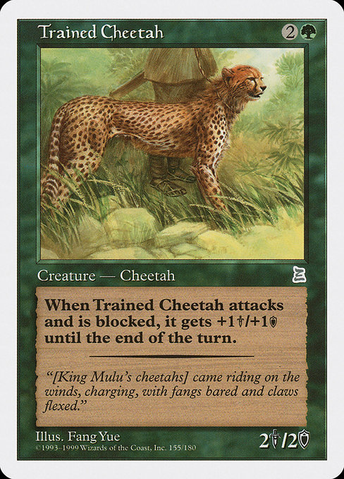 Magic the Gathering Card - Trained Cheetah - MTG Circle