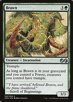 Magic the Gathering Card - Brawn - MTG Circle