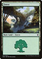 Magic the Gathering Card - Forest - MTG Circle
