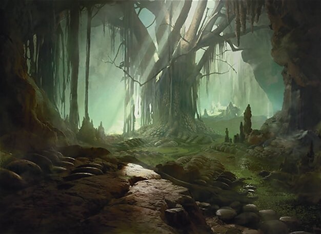 Swamp