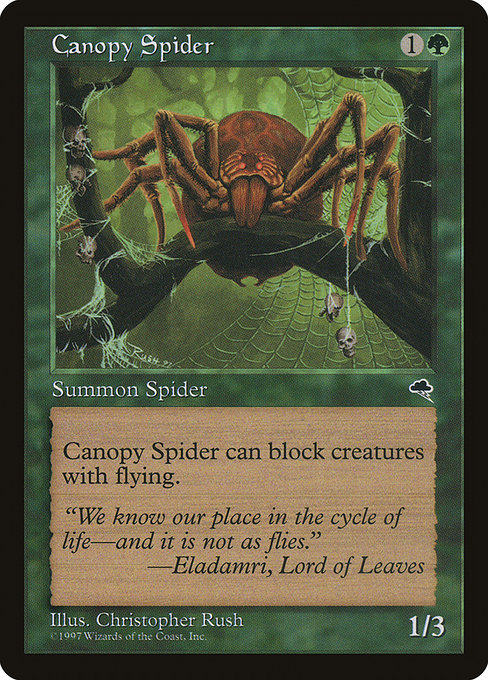 Magic the Gathering Card - Canopy Spider - MTG Circle