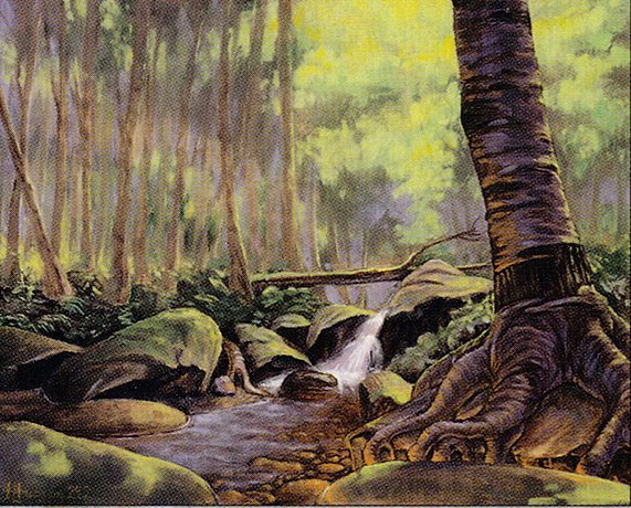 Tranquil Thicket