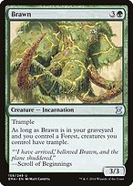 Magic the Gathering Card - Brawn - MTG Circle