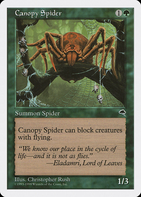 Magic the Gathering Card - Canopy Spider - MTG Circle
