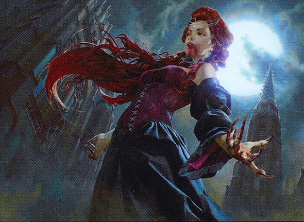 MTG Modern Mono Black Aggro Deck played by Kevink1 - 239cc1. Explore the key cards and strategic choices that dominate the current meta.