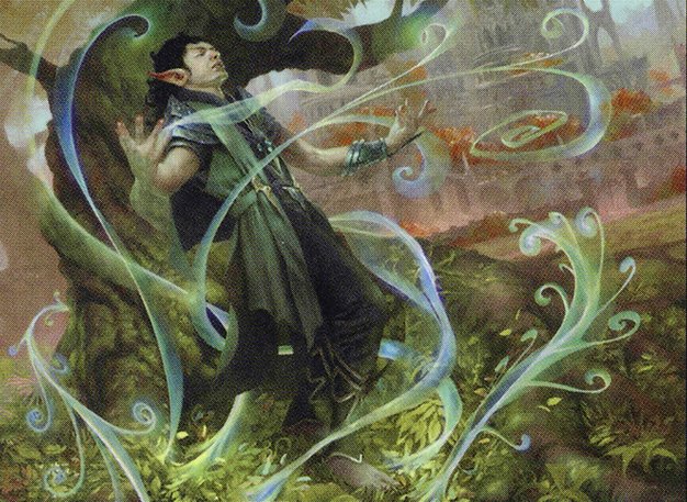 Evolution Sage