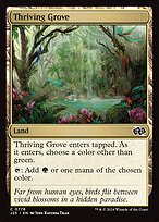 Magic the Gathering Card - Thriving Grove - MTG Circle