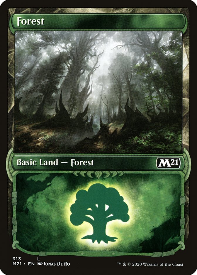 Magic the Gathering Card - Forest - MTG Circle