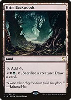 Magic the Gathering Card - Grim Backwoods - MTG Circle