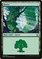 Magic the Gathering Card - Forest - MTG Circle