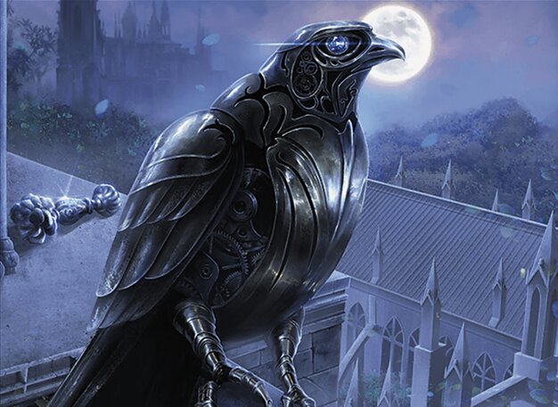 Coveted Falcon
