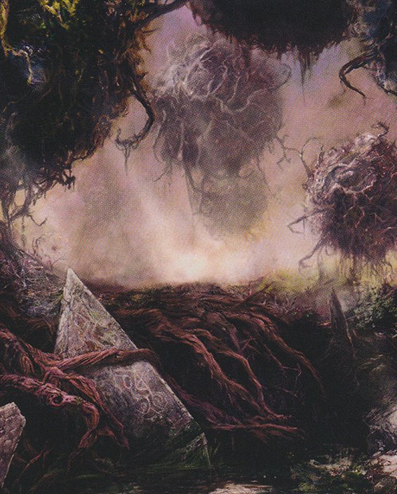 Swamp