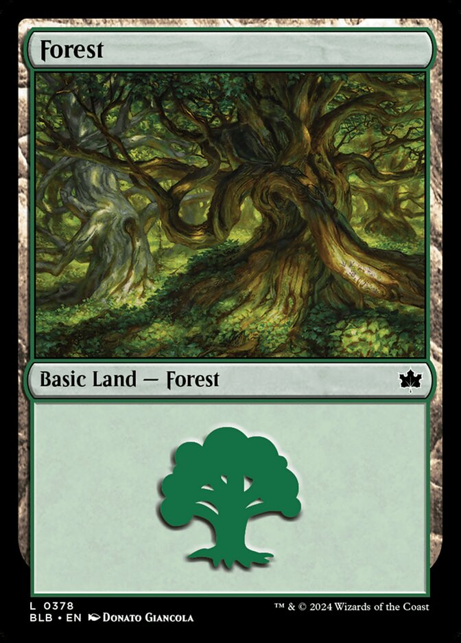 Magic the Gathering Card - Forest - MTG Circle