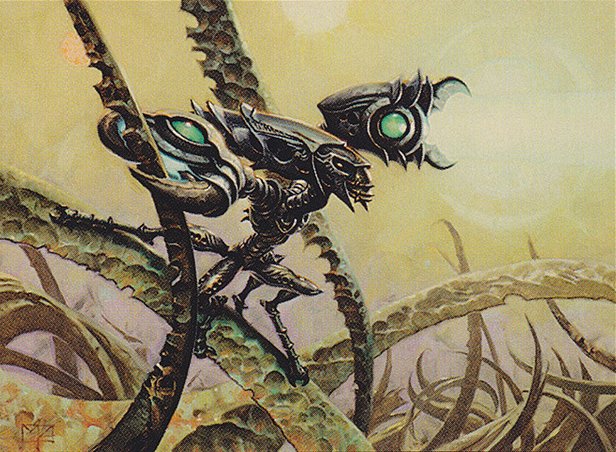 Signal Pest