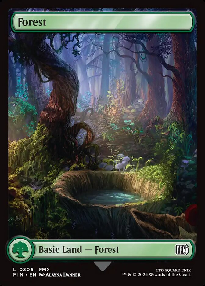 Magic the Gathering Card - Forest - MTG Circle