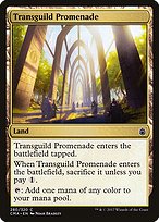 Magic the Gathering Card - Transguild Promenade - MTG Circle