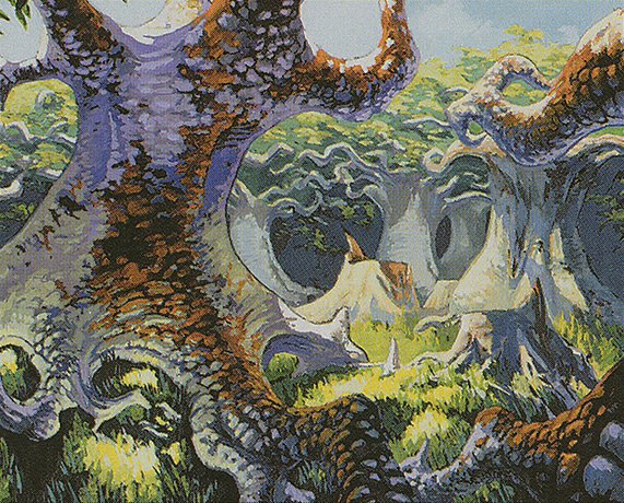 Forest