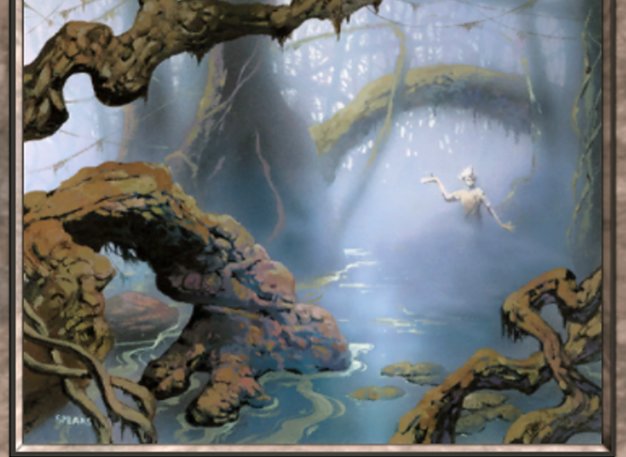 Swamp