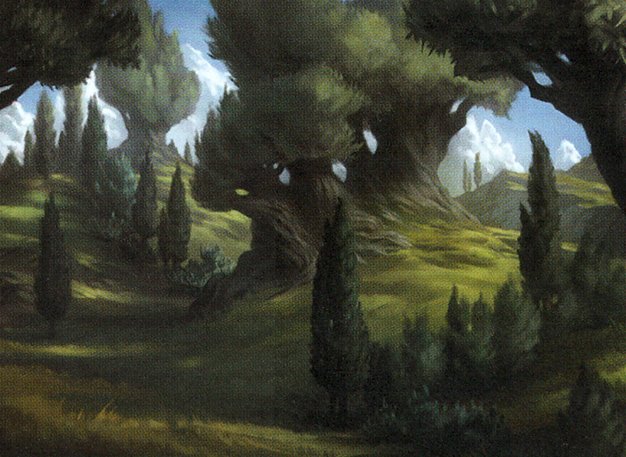 Forest