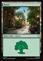 Magic the Gathering Card - Forest - MTG Circle