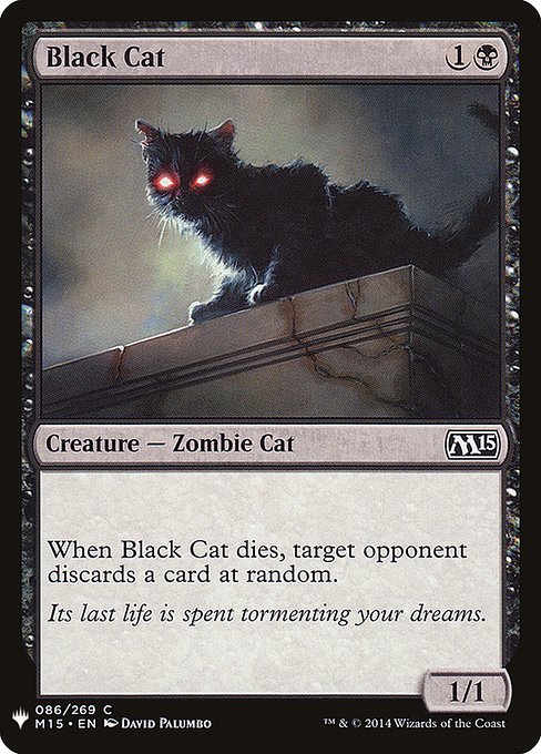 Magic the Gathering Card - Black Cat - MTG Circle