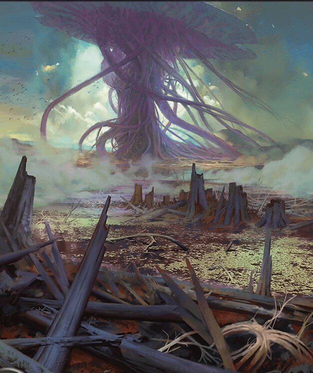Swamp