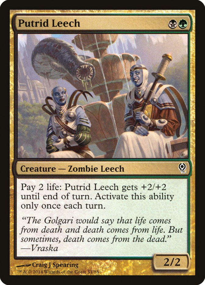 Magic the Gathering Card - Putrid Leech - MTG Circle