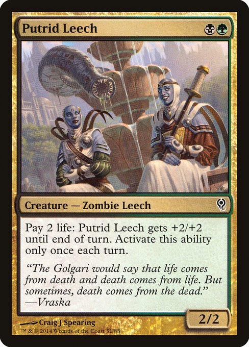 Magic the Gathering Card - Putrid Leech - MTG Circle